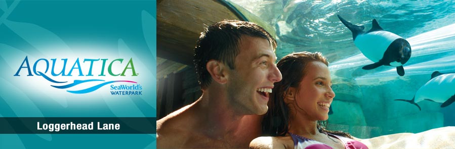 SeaWorld - Two Park Ticket - Acima de 3 anos "New Year Sale"